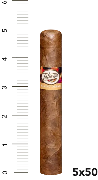 Robusto